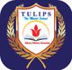 Tulip The Model School